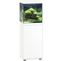 Komplettes Aquarium mit Unterschrank und Inneneinrichtung