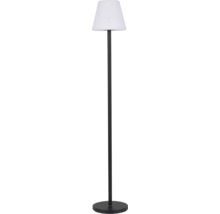 Stehlampe mit Schirm und rundem Fuß