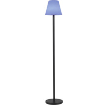 Stehleuchte mit Lampenschirm und schwarzem Ständer