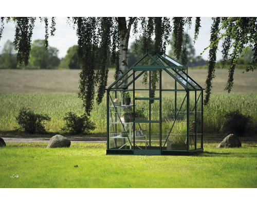 Gewächshaus mit Regalen im Garten