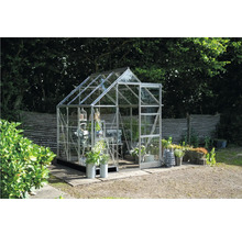 Gewächshaus im Garten mit Pflanzen und Dekoration