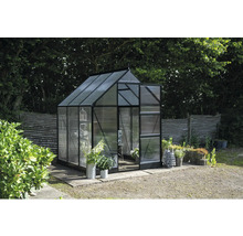 Gewächshaus aus Glas mit geöffneter Tür im Garten.