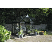 Gewächshaus mit Glaswänden und Metallrahmen im Garten