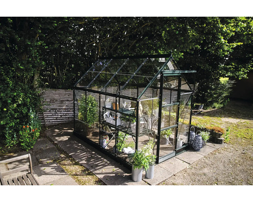 Gewächshaus im Garten mit Pflanzen und Regalen