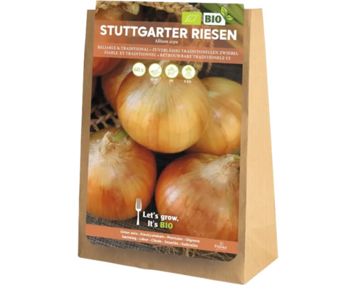 Stuttgarter Riesen Zwiebelstecklinge in einer Papiertüte