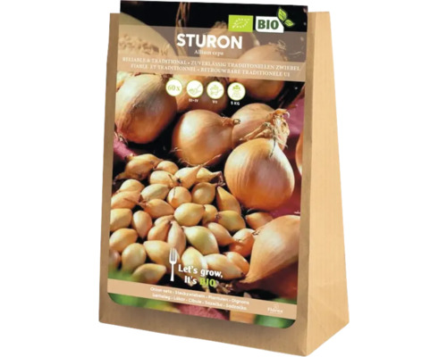 Sturon Zwiebel Steckzwiebeln Packung