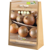 Setton Zwiebeln, Allium cepa, in einer 5 Kilogramm Packung