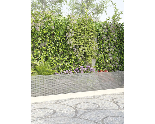 Garten mit Sichtschutzwand, Kletterpflanzen und gepflastertem Boden