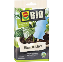 Compo Blausticker zur Schädlingsbekämpfung an Zierpflanzen, Packung mit zehn Stück