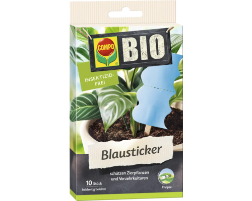 Compo Blausticker zur Schädlingsbekämpfung an Zierpflanzen, Packung mit zehn Stück