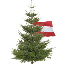 Weihnachtsbaum mit österreichischer Flagge