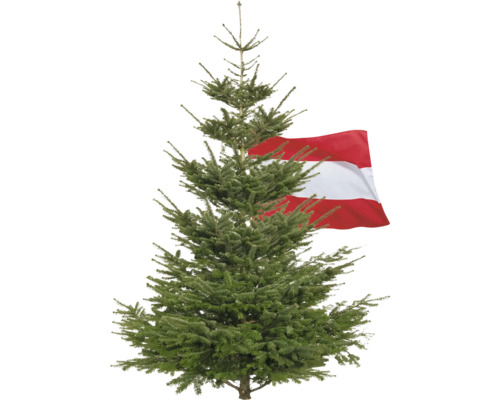 Weihnachtsbaum mit österreichischer Flagge
