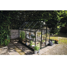 Gewächshaus mit Pflanzen im Garten