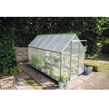 Gewächshaus im Garten mit Pflanzenregal