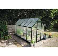 Gewächshaus im Garten mit Pflanzen und Regalen.