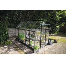 Gewächshaus mit Pflanzen im Garten