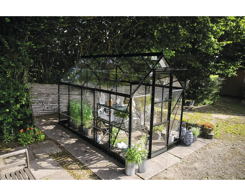 Gewächshaus mit Regalen und Pflanzen im Garten