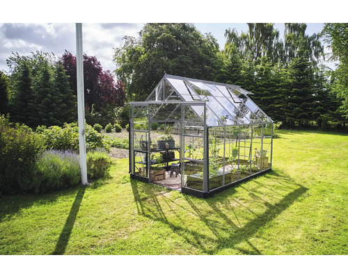 Gewächshaus aus Glas im Garten mit geöffneten Fenstern
