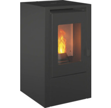 Pelletkamin mit Flamme