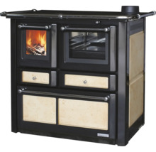 Holzherd mit Feuerstelle und Backofen