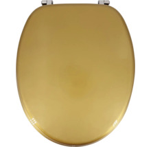 Toilettendeckel aus Kunststoff mit Metallbeschlägen