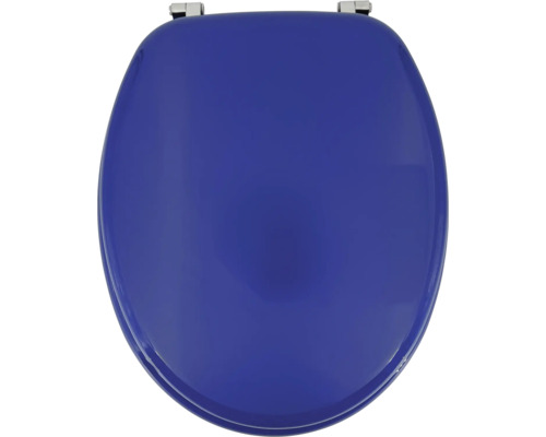Toilettensitz aus Kunststoff mit Metallscharnieren