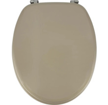 Toilettendeckel aus Kunststoff