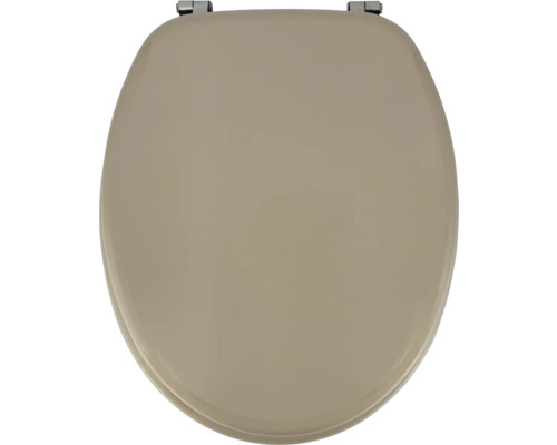 Toilettendeckel aus Kunststoff