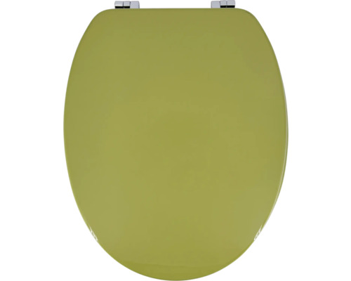 Toilettendeckel aus Holz mit Chromscharnieren