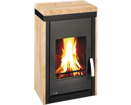 Kaminofen mit Holzfeuer im Brennraum