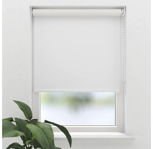 Weißes Rollo am Fenster mit Pflanze im Raum