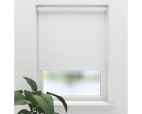 Weißes Rollo am Fenster mit Kettenzug und Pflanze