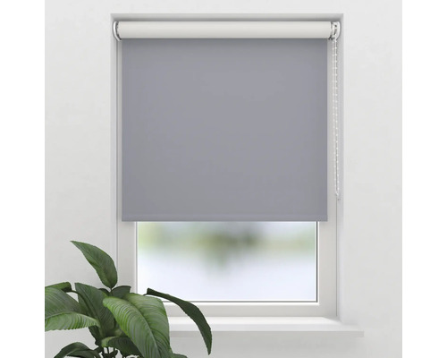 Graues Rollo am Fenster mit Pflanzen im Raum