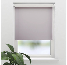 Fenster mit blickdichtem Rollo