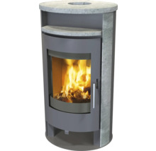 Kaminofen mit Holzfeuer hinter Glas