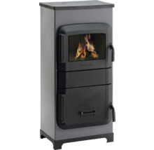 Kaminofen mit Holzbefeuerung und zwei Türen