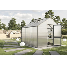 Gewächshaus mit geöffneter Tür im Garten