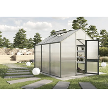 Gewächshaus mit geöffneter Tür und Pflanzenregal im Garten