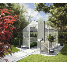 Gewächshaus im Garten mit geöffneter Tür und Pflanzen