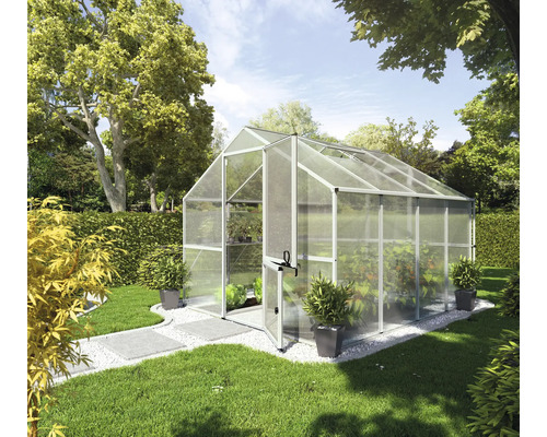 Gewächshaus im Garten mit Pflanzen und geöffneter Tür.