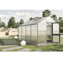 Gewächshaus mit geöffneter Tür in einem Garten