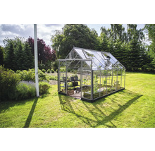 Gewächshaus im Garten mit Pflanzenregal und geöffneten Fenstern