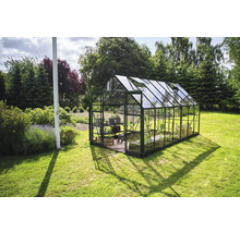 Gewächshaus im Garten mit Pflanzenregal