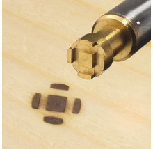 Brandstempel zum Erstellen von Designs auf Holz