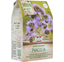 Packung Phacelia Bodendecker für circa 100 Quadratmeter von Sperli
