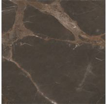 Fliese mit Marmoroptik und matter Oberfläche