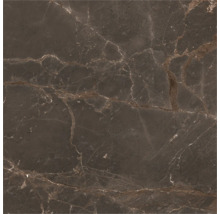 Marmorierte Bodenfliese