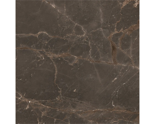 Marmorierte Bodenfliese