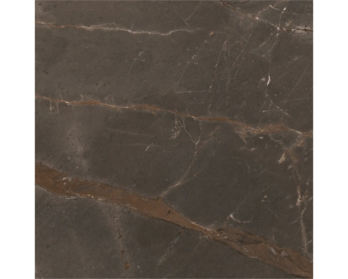 Dunkelgraue Fliese mit Marmorstruktur