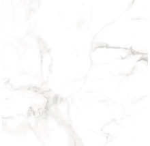 Marmorfliese mit polierter Oberfläche